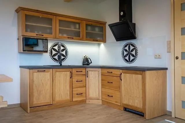 Willa911_apartamenty Rzepiska